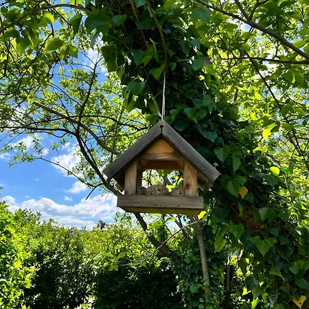 Holiday home La Charmante *