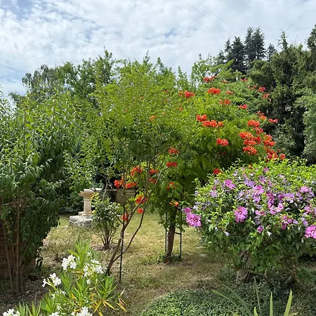 La Charmante Holiday home Le Vigan (Gard)